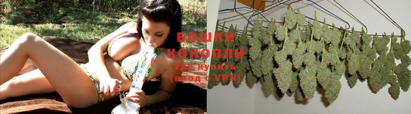 индика Карпинск