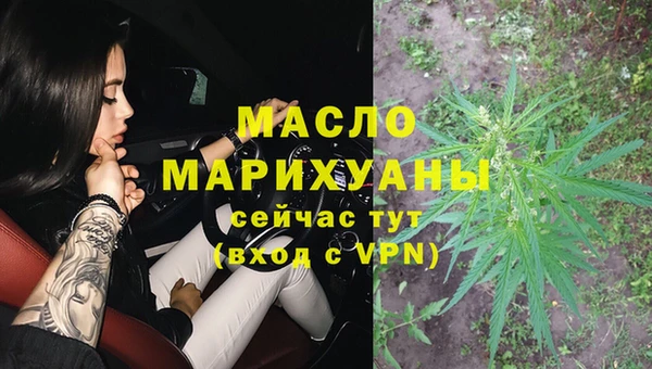 индика Карпинск