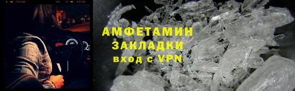 индика Карпинск
