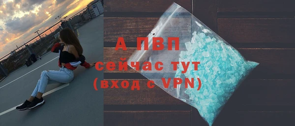 индика Карпинск