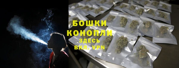 индика Карпинск