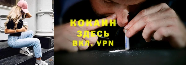 индика Карпинск