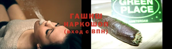 индика Карпинск