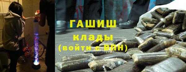 индика Карпинск