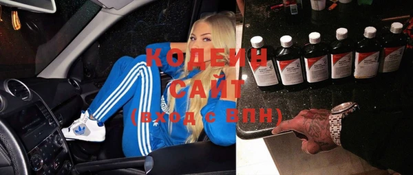 индика Карпинск