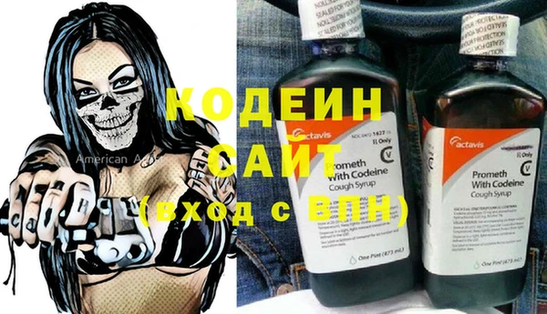 индика Карпинск